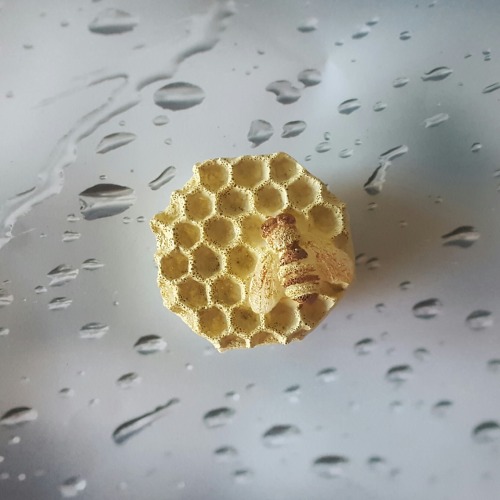 artbyca5ey: Hand-Painted Honeycomb and Bee Handmade Squishy Memory Foam Stress Ball Stimmy Fidget To