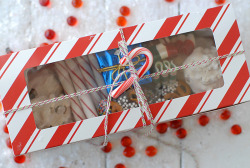 thecakebar:  Festive Chocolate-Dipped Pretzels and Holiday Treat Boxes The other day I mentioned to you guys that I found ribbon candy for Ū.50 at a store called Big Lots. I was so excited! I hadn’t see ribbon candy in like FOREVER! Anyway, I sent