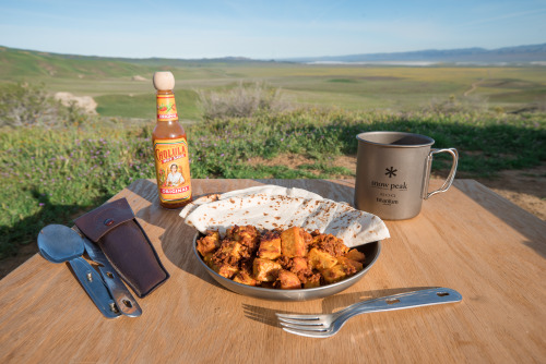 Camping in Carrizo Plain National Monument