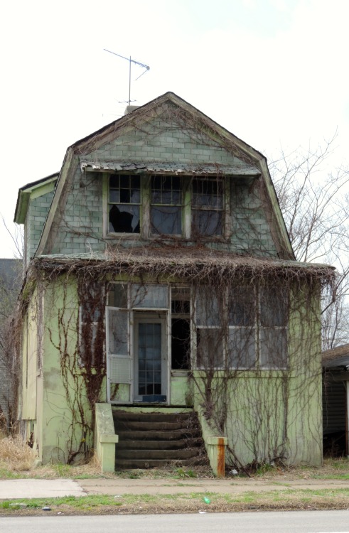 Abandoned House, Cairo, Illinois, 2014.When I used Bing to gather some information about the town, t