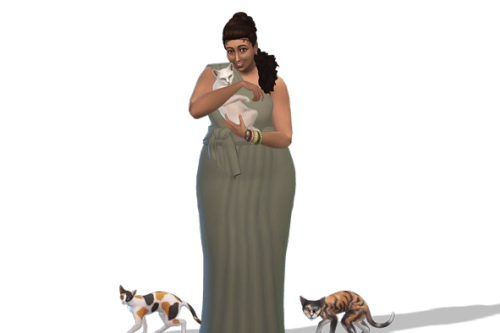 Oikos Eláïom / Sim household  I really like cat-ladies. I’m not that found of cats actually, I
