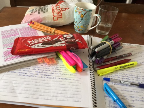 So Since I Started With Tumblr I Have Studied More, Studyblrs Really Motivate Me Those Days That I Don't