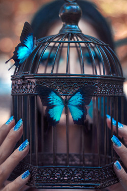 daughterofaphrodite828: butterfly-warrior-princess: