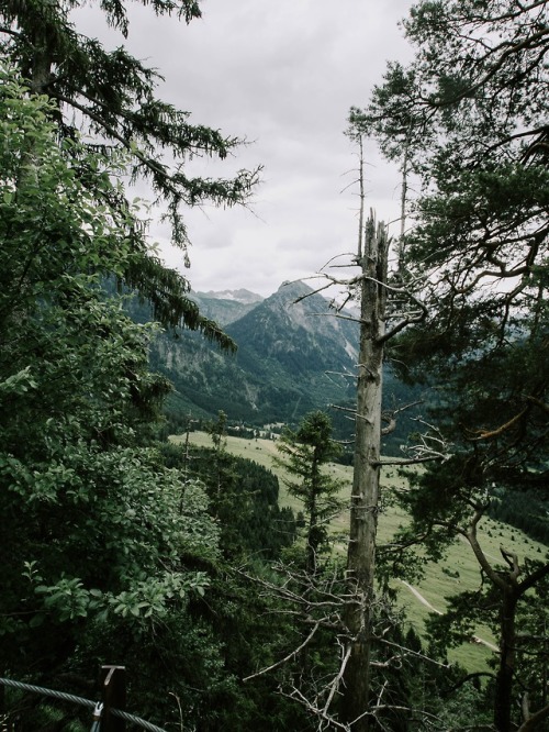 expressions-of-nature:by Sandra Frey
