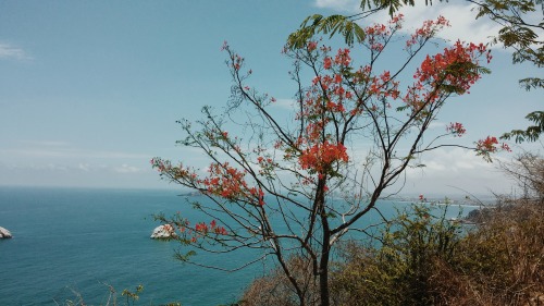 Mazatlan, Sinaloa