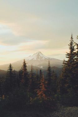 folklifestyle:Just Pinned to *Landscapes: