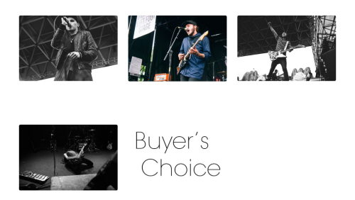 Woah! I added a new option! You can now get whatever you want for the same price as everything else!