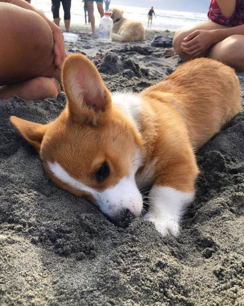 The Most Beautiful Thing You'll See Today.