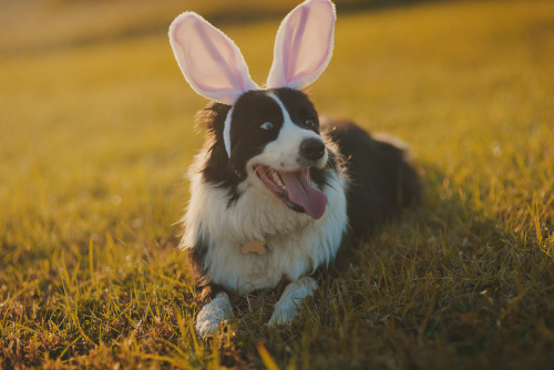 Happy Easter from lovablemisslucy and I :) Alex Benetel // Flickr || Facebook || Instagram || B