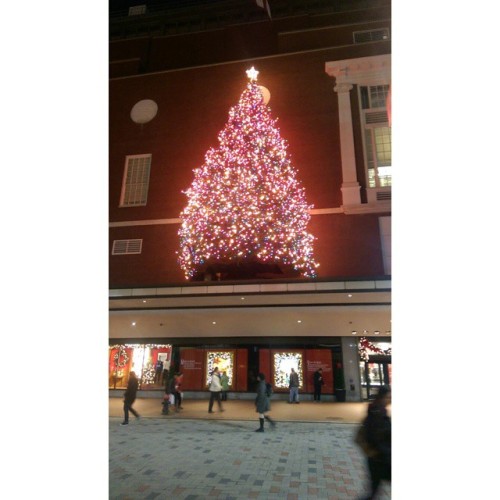 XXX #Macy’s Christmas Tree #Downtown #Boston photo