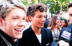 i really like boybands