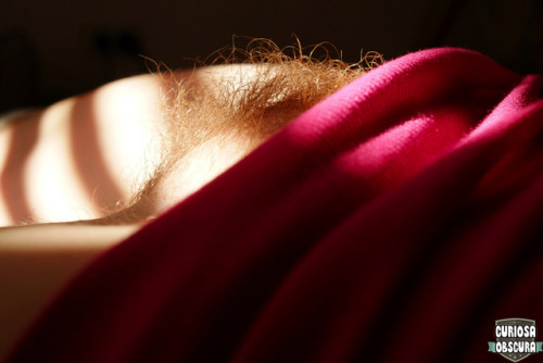 curiosa-obscura: hairy sunshine follow us for more homemade nudie pics ;] 