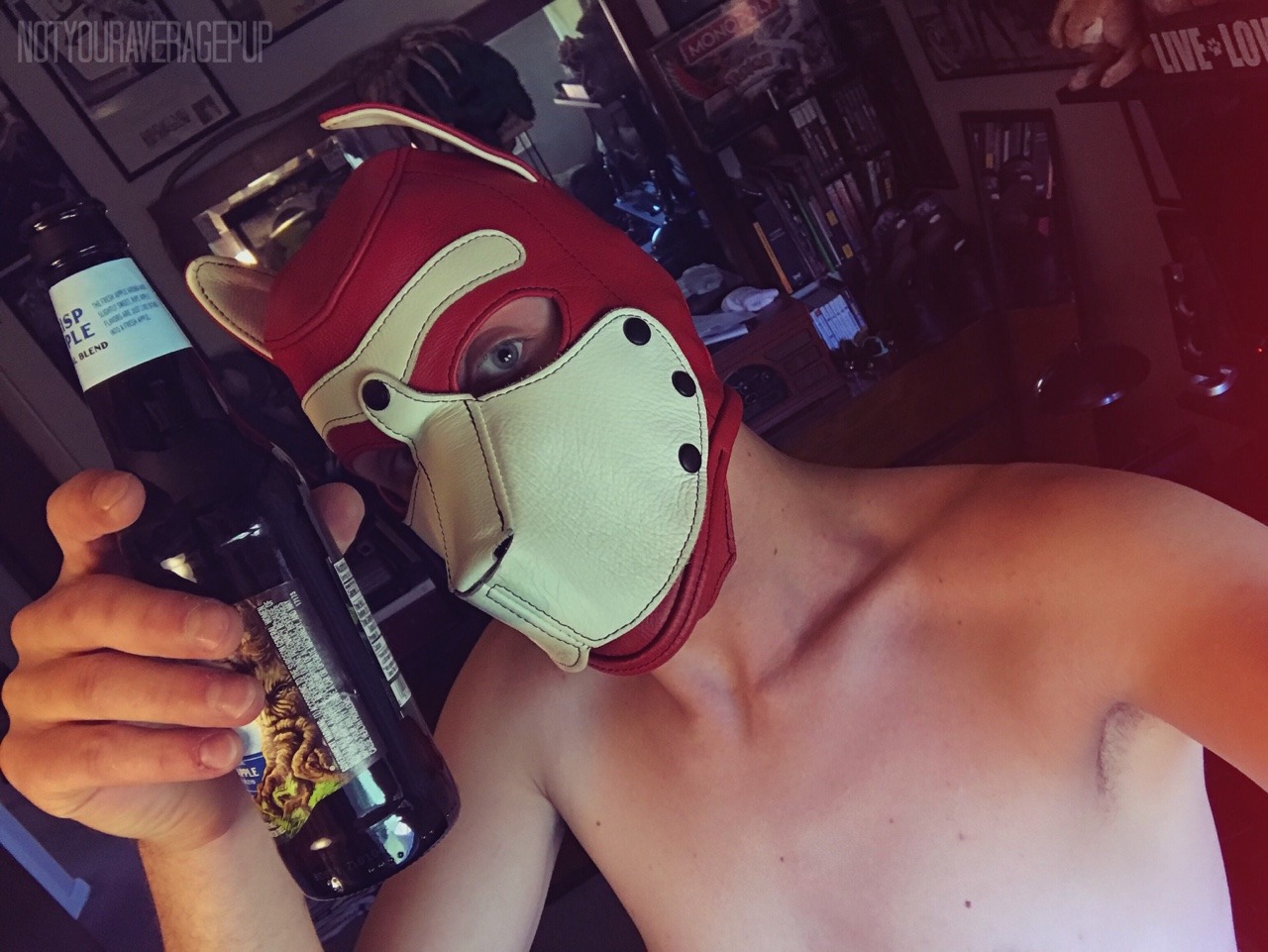 notyouraveragepup:  CHEERS! 🍻  To all the pups who are just like me!   -No Lover