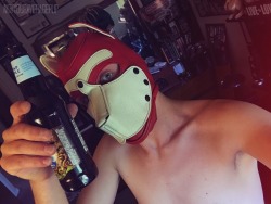notyouraveragepup:  CHEERS! 🍻  To all the pups who are just like me!   -No Lover -No Friends  -Lonely -Depressed  May we have our wants and needs filled one day!