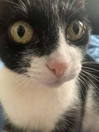 Tfw Your Friend Does A Screen Record W Your Voice In The Background And You Hear How Your Voice Has Changed