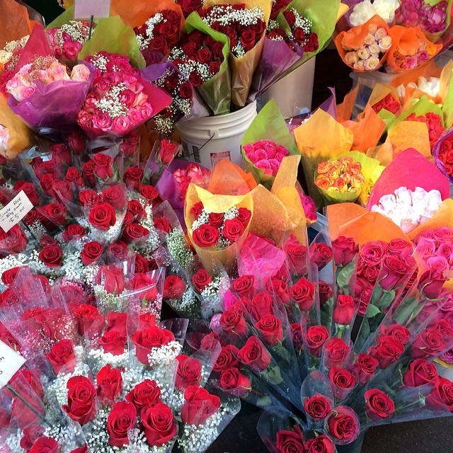 wildbelles:  erikakbowes:  Valentines day spent sight seeing all over NY, who needs