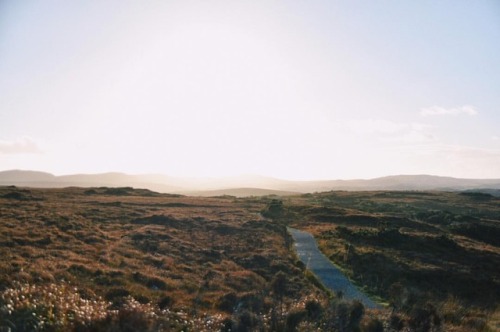 ✨. . #connemara #connemaranationalpark #ireland #irelandtravel (at Connemara National Park) https: