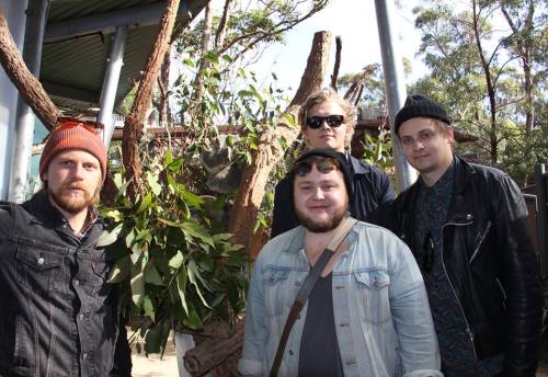 fuckyeahofmonstersandmen:  Taronga Zoo Sydney, porn pictures