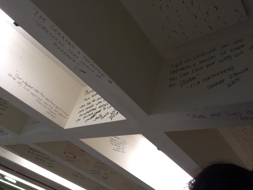 glittergirl2007:  Today was my last day of sophomore English class and my teacher had us write quotes on the ceiling so naturally I chose one by inkskinned