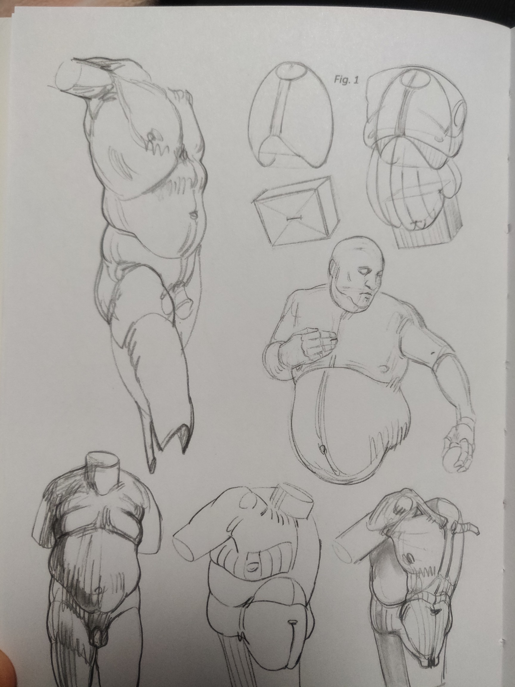 sango-blep:jennyslateswife:jennyslateswife:a lot of people draw fat characters as like Vaguely Round stomach, throw on stretch marks (drawn in a way that stretch marks DO NOT work) and often body hair (for some reason?? like i’m fat and have body hair