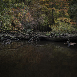 nevver:  River’s edge, Ellie Davies