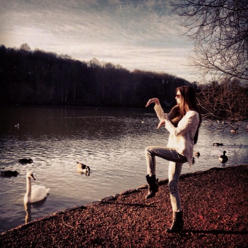 SWAN LAKE! Wearing Sass & Bide… #cocotakesover sassandbide.com