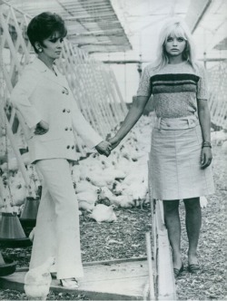 Magicofoldies:  Ewa Aulin And Gina Lollobrigida (1967).