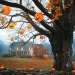 enchantedbunny:Ah How much I crave autumn… 🍂 