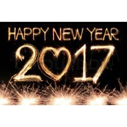 Happy New Year!!! 🗽😘🎊🎉🎇🎆🍾 #Happynewyear #2017