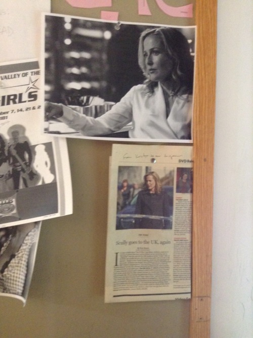 cursegoodnight:so i work in a feminist history archive and there are these pictures of gillian ander