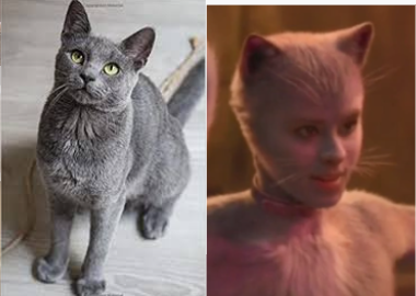Cats 2019 As Real Cats Because Why Not. Part 2 The Queens.
