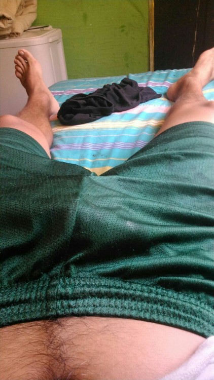 CHILENOS LINDOS 