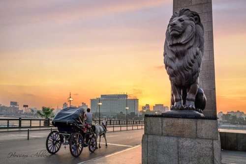 ir-egipto-travel:Khedevial Cairo, Paris of the East! ✨🇪🇬 Once a day Khedive