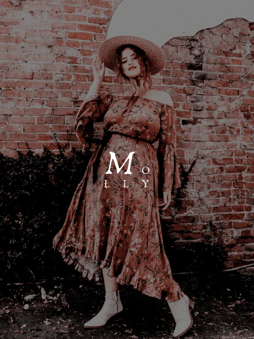 ginnevraweasley: Beloved wizarding family known for their red hair, misfortunes with money and good 