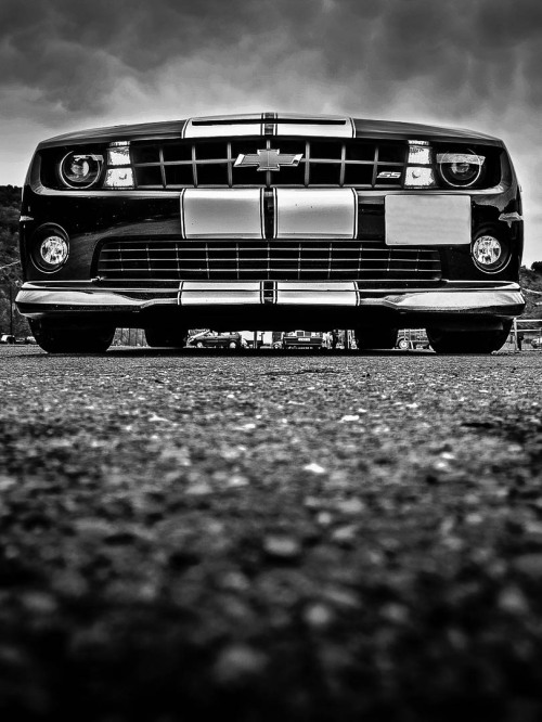 Fuck Yeah Camaro