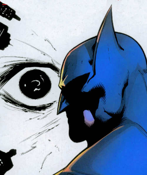 comicbookbrain: Batman and Robin 22