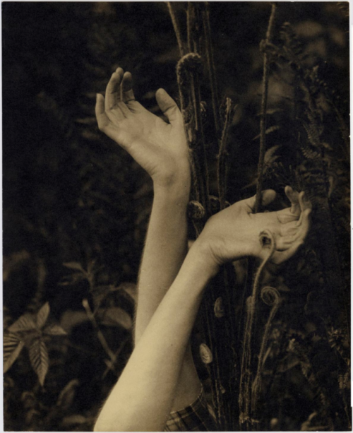 Edward Steichen Dana’s Hands, 1923[x]
