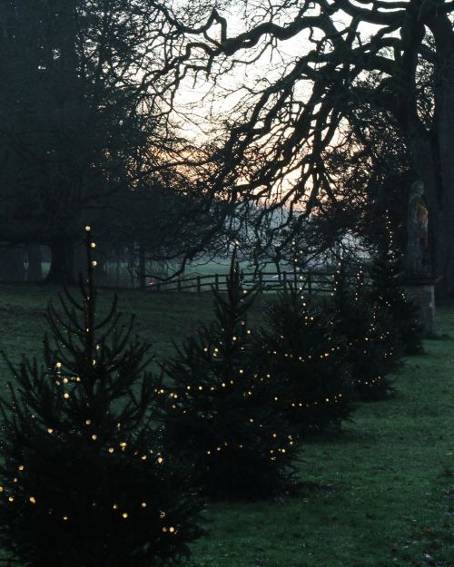 delta-breezes:Forde Abbey & Gardens | @fordeabbey