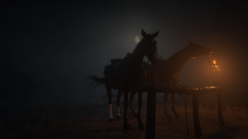 got the horses in the backa fuck ton of horses because i waited by the road for riders to come along