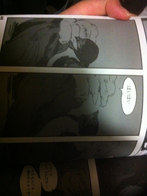 dezzoi:  youkoofthelovespot:  The infamous bird BL book. This is my friend’s copy; I await mine in October.  I know it’s bird sex, but damn…I’d buy this for the art. It’s so hard to find decently drawn vultures.  