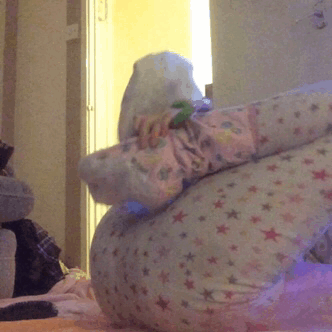 thekinkylittlekitten:  Kicky feet happy nappied babygirl