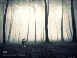 random-photos-x:  Malu in the fog by Carballa.