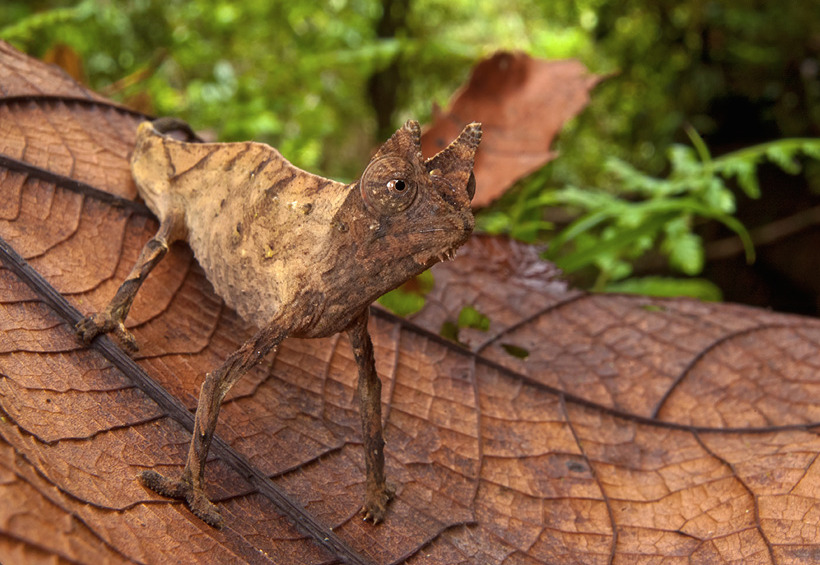 nubbsgalore:  &ldquo;dead leaves and the dirty ground, when i don’t know you’re