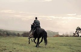 tumblr_pgb3d8190e1tha2ieo9_400.gif