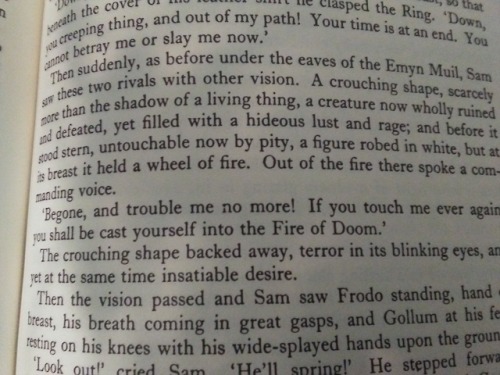 concerning-hobbits: If I have to pick one Frodo moment that I wish was in the movies, it has to be t