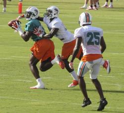 talldaddy:  charlibal:  Print &amp; A$$ ALERTS Sights &amp; Sounds of the NFL this week  http://talldaddy.tumblr.com
