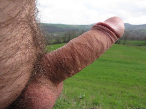 adolfo70:  bearluvr2479:  Delicious! Daddies, Bears, and Cubs!  Me gusta