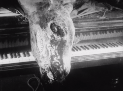 diaryofhorror:Un chien andalou - Luis Buñuel
