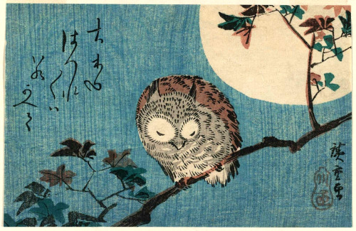 musings-of-a-philhellene:dappledwithshadow:Utagawa Hiroshige: Small Horned Owl on Maple Branch under