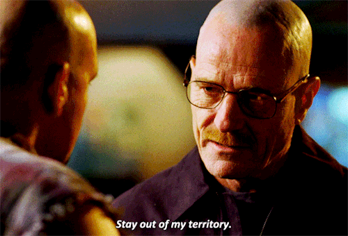kane52630:[DLZ by TV On The Radio playing in the distance] Breaking Bad | 2x10: Over